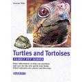 Turtles and Tortoises 9780764151170 Used / Pre-owned