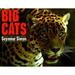 Pre-Owned Big Cats 9780064461191