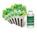 Aerogarden Salad Greens Seed Pod Kit with Red and Green Leaf Romaine and Butter Head Lettuce Liquid Plant Food and Growing Guide (6-Pod)