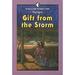 Gift from the Storm : And Other Stories of Children Around the World 9781563972683 Used / Pre-owned