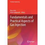 Petroleum Engineering: Fundamentals and Practical Aspects of Gas Injection (Paperback)