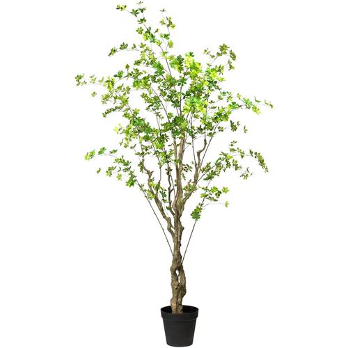 "Kunstbaum CREATIV GREEN ""Louisiana-Baum"" Kunstpflanzen Gr. H: 240 cm, 1 St., grün Kunst-Bäume"
