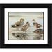 Louis Agassiz Fuertes 24x20 Black Ornate Framed Double Matted Museum Art Print Titled: Gadwall Coues s Gadwall (1922-1926)