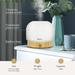 ennva Essential Oil Diffusers for Home Elegant Glass Diffuser with Light 280ML Quiet Ultrasonic Diffuser - Aromatherapy Diffuser with Timer 2 Mist Modes Modern Air Diffusers for Home Sleep