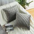 2 Pcs Velvet Throw Pillow Covers Soft Square Throw Cushion Covers Super Soft Decorative Velvet Cushion Covers Square Throw Pillow Covers for Bed Couch Sofa Bench 45 x 45 cm 18 x 18 Inch Grey