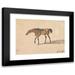 Peter Tillemans 24x19 Black Modern Framed Museum Art Print Titled - A Saddle Horse of the Duke of Devonshire