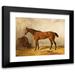 Wilhelm Richter 18x15 Black Modern Framed Museum Art Print Titled - A Bay Horse in a Stable with Saddle Blanket (1884)