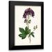 Curtis 17x24 Black Modern Framed Museum Art Print Titled - Lavender Florals I