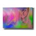 Epic Graffiti Color In The Lines 5 by Irena Orlov Giclee Canvas Wall Art 26 x18