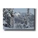 Epic Graffiti Nooksack Ridge in Winter by Alan Majchrowicz Giclee Canvas Wall Art 60 x40