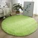 Gerich Soft Shaggy Rug Anti-Slip Fluffy Rugs Large Shaggy Rug Super Soft Mat Living Room Bedroom Carpet Light Green