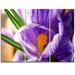 Design Art Blooming Crocus Flower - 3 Piece Graphic Art on Wrapped Canvas Set