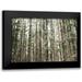 Marshall Laura 18x13 Black Modern Framed Museum Art Print Titled - Mossy Pines