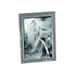 5 x 7 in. Glitter Galore Nickel Plated Picture Frame Holds