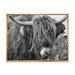 Close Up Of Scottish Cow On Moorland II 32 in x 24 in Framed Photography Canvas Art Print by Designart