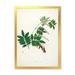 Designart Ancient Botanicals XI Farmhouse Framed Art Print