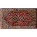 Ahgly Company Indoor Rectangle Traditional Dark Almond Brown Persian Area Rugs 2 x 4