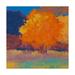 Trademark Fine Art Orange Maple Trees Canvas Art by Mike Kell