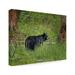 Trademark Fine Art Black Bear Sow Watching Cubs Canvas Art by Galloimages Online