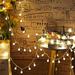 Globe String Lights 9.8FT 20 LED Outdoor Fairy String Lights for Classroom Wedding Bedroom Outside Party Xmas Tree Decoration