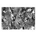 Startonight Canvas Wall Art Black and White Abstract Flower of Destiny Dual View Surprise Artwork Modern Framed Ready to Hang Wall Art 100% Original Art Painting 23.62 X 35.43 inch