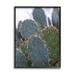Stupell Industries Prickly Cactus Thorns Close Up Photography Desert Vegetation Photograph Black Framed Art Print Wall Art Design by Jeff Poe Photography