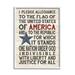 Stupell Industries Pledge of Allegiance Stars and Stripes Americana Rustic Wood Look Sign Graphic Art Framed Art Print Wall Art 24x30 By Jo Moulton