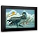 Fitzharris Tim 24x18 Black Modern Framed Museum Art Print Titled - Brown Pelican with White Pelicans