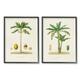 Stupell Industries Minimal Green Palm tree Coconuts Diagram Illustration Drawings Black Framed Art Print Wall Art Set of 2 16x20 by World Art Group