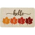 Mloabuc Fall Decor Door Mat 17x30 Inch Fall Farmhouse Pumpkin Patch Mat Fall Decorate Seasonal Fall Thanksgiving Country Floor Mat Switch Mat for Indoor Outdoor 17x30 Inch