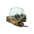 Things2Die4 Blown Melted Glass Decorative Bowl / Terrarium On Teak Driftwood Base