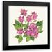 Sussman Harriet 12x12 Black Modern Framed Museum Art Print Titled - Tropical Fun Flowers IV with Gold