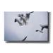 Epic Graffiti Bird Hug by Epic Portfolio Giclee Canvas Wall Art 60 x40