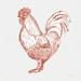 August Grove® Cottage Rooster II Red - by Sue Schlabach Wrapped Canvas Drawing Print Canvas in White | 36 H x 36 W x 1.25 D in | Wayfair