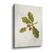 Gracie Oaks Oak Branch - Graphic Art on Canvas in Green/White | 18 H x 14 W x 2 D in | Wayfair BD897A7231074D5996F1AB504686A02A