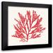 Wild Apple Portfolio 15x15 Black Modern Framed Museum Art Print Titled - Pacific Sea Mosses I Red