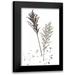 Wang Melissa 13x18 Black Modern Framed Museum Art Print Titled - Botany Flower VI