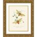 Edward Donovan 15x18 Gold Ornate Wood Frame and Double Matted Museum Art Print Titled - An Epitome of the Natural History of the Insects of New Holland New Zealand Pl.09 (1805)