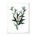 Designart Ancient Green Leaves Plants VIII Traditional Framed Art Print
