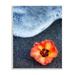 Stupell Industries Red Poppy Soothing Beach Foam Black Sand Photography Unframed Art Print Wall Art 13x19 by Dennis Frates