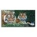 Epic Art Sumatran Tigers by Durwood Coffey Acrylic Glass Wall Art 48 x24