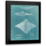 Vision Studio 15x18 Black Modern Framed Museum Art Print Titled - Morning Swim II