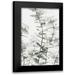 1x Studio III 17x24 Black Modern Framed Museum Art Print Titled - Eucalyptus_001