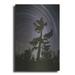 Luxe Metal Art Polaris Pine by Thomas Haney Metal Wall Art 24 x36