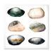 Designart Six Abstract Sea Stones On White Nautical & Coastal Framed Art Print