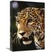 12 x 18 in. Jaguar Portrait Belize Zoo Belize Art Print - Gerry Ellis