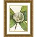 Mary Vaux Walcott 18x24 Gold Ornate Framed and Double Matted Museum Art Print Titled - Southern Magnolia (Flower). (Magnolia Grandiflora) (1925)