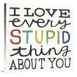 Global Gallery s I Love Every Stupid Thing About You By Michael Mullan Stretched Canvas Wall Art