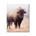 Stupell Industries Wild Cattle Bison Photograph Grassy Autumn Field Cool Tones 24 x 30 Design by Debra Van Swearingen