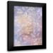 Shumilova Ludmila 17x24 Black Modern Framed Museum Art Print Titled - Spring touch